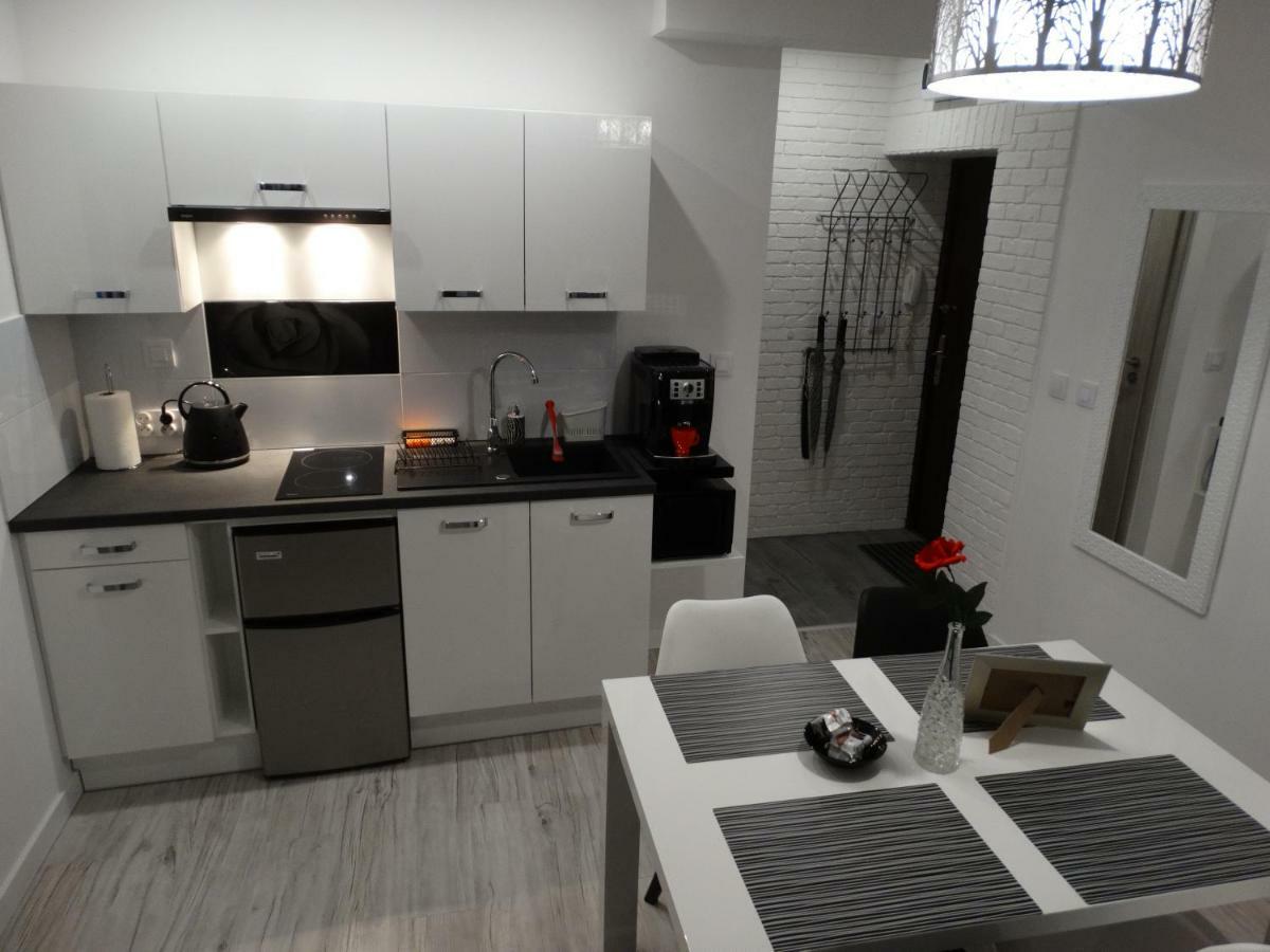Apartament "Eli" Торунь Екстер'єр фото